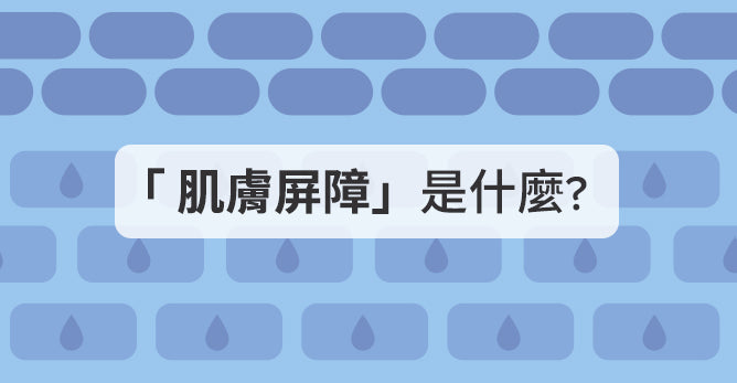 肌膚屏障是什麼？它對肌膚的影響為何？