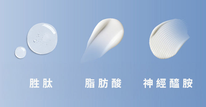 探索脂肪酸、神經醯胺與胜肽對肌膚保養的差異